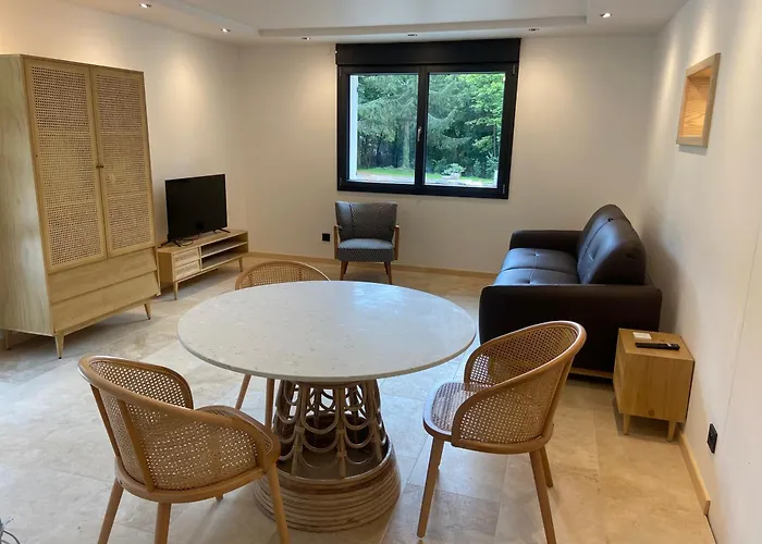 Seigneur Apartment Rambervillers